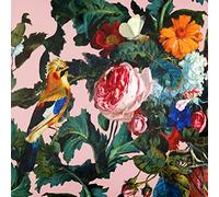 Izabela Peters Luxury Upholstery Curtain Fabric - Eco-Friendly Velvet - Designer Blind, Craft, Sewing Fabric by The Metre - Birds in Paradise - Rosewater - 1 Metre