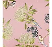 Izabela Peters Luxury Upholstery Curtain Fabric - Eco-Friendly Velvet - Designer Blind, Craft, Sewing Fabric by The Metre - Bird On Elderflower - Rosewater - Sample