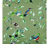 Izabela Peters Luxury Upholstery Curtain Fabric - Eco-Friendly Velvet - Designer Blind, Craft, Sewing Fabric By The Metre - Rawlinson Nab - Sage - 1 Metre