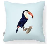 Izabela Peters Outdoor Cushions Waterproof, 43 cm, Filled Outdoor Cushion, Toucan - Duck Egg Blue, Garden Furniture Cushions, Outdoor Seat Cushions, Garden Chair Cushions