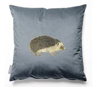 Izabela Peters Velvet Cushions - Eco-Friendly, Filled, 40 cm, Hedgehog - French Grey, Chair & Sofa Seat Cushions