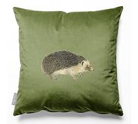 Izabela Peters Velvet Cushions - Eco-Friendly, Filled, 40 cm, Hedgehog - Sage, Chair & Sofa Cushions