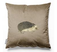 Izabela Peters Velvet Cushions - Eco-Friendly, Filled, 45 cm, Hedgehog - Taupe, Chair & Sofa Cushions