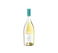 Izadi Larrosa Blanca 2024