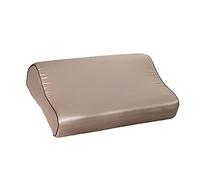 IZHAOGJING Silk Pillowcase, Pure Silk Pillowcase Zipper Pillow Case Rectangle Pillow Cover Silk Throw Pillow Cases 40 X60cm 30x50cm(C5,40x60cm)