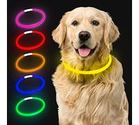 Izkan- LED Dog Collar, USB Rechargeable, Bright Colors Glowing Pet Dog Collar for Night Visibility & Safety, Fashion Light up Collar for Small Medium Large dogs (Yellow)