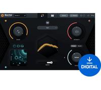 iZotope Insight 2 (Digital product)