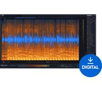 iZotope RX 11 Standard (Digital product)