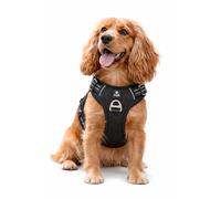 IzzyB No Pull Dog Harness | Adjustable Reflective Harness Black Large