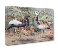 J.G. Keulemans Florican & MacQueen's Bustard Canvas Print | Gallery Wrapped 30mm Frame Wall Art | 30x20 inches | Ready to Hang | Retro Picture | Living Room Bedroom Lounge Office