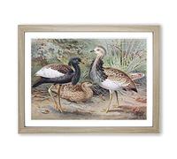 J.G. Keulemans Florican & MacQueen's Bustard Vintage Framed Print | A3 Oak Framed Wall Art | Ready to Hang | Classic Nature Picture | Living Room Bedroom Lounge Office
