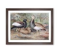 J.G. Keulemans Florican & MacQueen's Bustard Vintage Framed Wall Art Print, Ready to Hang Picture for Living Room Bedroom Home Office Décor, Walnut A4 (34 x 25 cm)