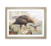 J.G. Keulemans Golden Eagle Vintage Framed Print | A2 Oak Framed Wall Art | Ready to Hang | Classic Animal Picture | Living Room Bedroom Lounge Office