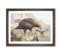 J.G. Keulemans Golden Eagle Vintage Framed Print | A2 Walnut Framed Wall Art | Ready to Hang | Classic Animal Picture | Living Room Bedroom Lounge Office