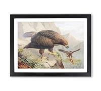 J.G. Keulemans Golden Eagle Vintage Framed Print | A3 Black Framed Wall Art | Ready to Hang | Classic Animal Picture | Living Room Bedroom Lounge Office
