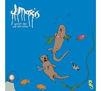 J Mascis - What Do We Do Now [VINYL]