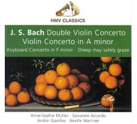 J.S Bach Double Violin Concerto