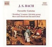 Bach: Favourite Cantatas