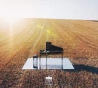 J.S. BACH/IL GUSTO BARROCO/HALUBEK: BRANDENBURG CONCERTOS - CD