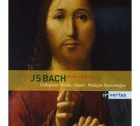 J.s. Bach: Mass In B Minor by Collegium Vocale / Herreweghe (CD )