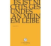 J.S.BACH-STIFTUNG/LUTZ,RUDOLF - ES IST NICHTS GESUNDES AN MEINEM LEIBE (1 DVD)