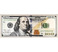 J&V TEXTILES Money Rugs 100 Dollar Bill Runner Area Rug for Living Room Kitchen Rug Laundry Runner Rug Bedroom Bathroom Mat (22" x 53") (New)