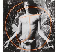 J. - We Are the Majority