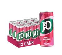 J2O Fruit Juice, Apple and Raspberry, 250ml Cans (Pack of 12)