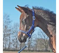 JA Horse JA4027 Foal Halter Made of Sturdy Webbing Multi-Adjustable Halter for Foals in the Neck, Nose and Goose Area with Silver-Coloured Fittings (Royal Blue, Foal)