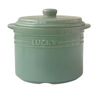 Jaamyears Small Onion Soup Bowls 500ml, Ceramic Soup Crocks Oven Safe, Solid Color Soup Mug with Handles and Lid