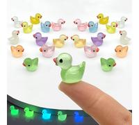JaAoyoo Mini Resin Ducks, 55pcs Glow in The Dark Small Ducks 10 Colors Tiny Ducks Miniature Garden Decoration Luminous Little Ducks for Fairy Garden Aquarium Landscape Ornaments Craft