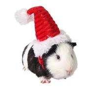 JAAQUCD Guinea Pig Christmas Hat Small Animal Christmas Costume Hamster Santa Hat Mini Pet Festive Accessories Tiny Santa hat for XXXS Dog Chinchilla Hedgehog Ferret Squirrel Duck