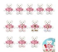 JABECODIFA Custom Teddy Bears Bulk 12 Pcs 12 inch, Personalised Small Teddy Bear Bulk Stuffed Animal Plush with Photo Name as Personalised Gifts for Christmas Wedding Party Class Gift from Teacher