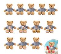 JABECODIFA Personalised Bulk Teddy Bears Small Stuffed Animal 12 Pcs 10 inch, Custom Teddy Bears Bulk with Photo Name as Personalised Gifts for Valentine Wedding Party Favor Class Gift from Teacher
