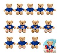 JABECODIFA Personalised Bulk Teddy Bears Small Stuffed Animal 12 Pcs 12 inch, Custom Teddy Bears Bulk with Photo Name as Personalised Gifts for Valentine Wedding Party Favor Class Gift from Teacher