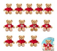 JABECODIFA Personalised Bulk Teddy Bears Small Stuffed Animal 12 Pcs 12 inch, Custom Teddy Bears Bulk with Photo Name as Personalised Gifts for Valentine Wedding Party Favor Class Gift from Teacher