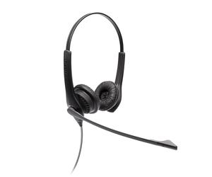 Jabra Biz 1100 EDU Duo USB - wireless stereo headset