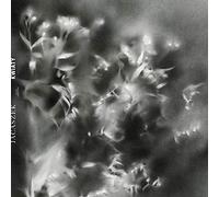 Jacaszek - Kwiaty [VINYL]