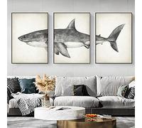 JACBON Marine Animals 3 Pieces Poster Canvas Painting Print Great White Shark Wall Picture For Living Room Home Decoration 50x70cmX3 Frameless