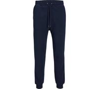 Jack And Jones Mens Bradley Jogging Bottoms GT37516