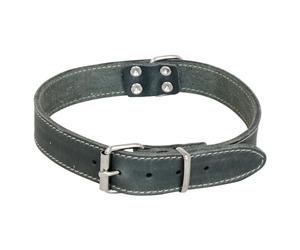 Jack and Vanilla - Dog collar greasy leather - Solid, durable, easy to maintain, soft and pleasant to the touch - Modern look - Colour: Grey, Size 30 mm x 60 cm
