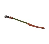 JACK AND VANILLA, Stylish Dog Collar Vibrant Green Adjustable Durable and Comfortable Secure Buckle Easy to Clean Size 15mm x 50cm Walkabout