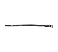 JACK AND VANILLA, Stylish Modern Pet Collar, Custom Fit, Durable Materials, Ideal for All Occasions, Size M, Colour: Black, Sport Model