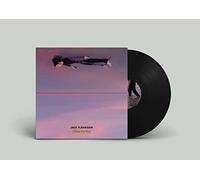 JACK FLANAGAN - RIDES THE SKY [VINYL]