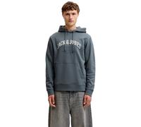 Jack & Jones Denver Logo Hoodie