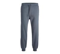 JACK & JONES Gordon Bradley Sweatpant Men
