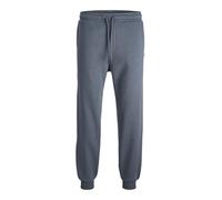 JACK & JONES Gordon Bradley Sweatpant Men