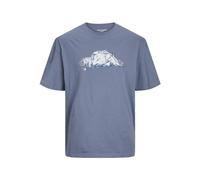 JACK & JONES Men's Jcosplash Tee Ss Crew Neck Gc T-Shirt, Flint Stone, L