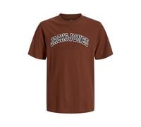 JACK & JONES Mens Jjecaleb Varsity Tee Ss O-Neck Noos Pls, Burnt Henna, 5XL UK