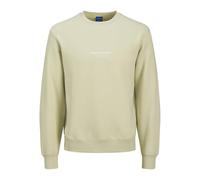 JACK & JONES Jorvesterbro Sweat Crew Neck Bn Mni, Celadon Tint, 122